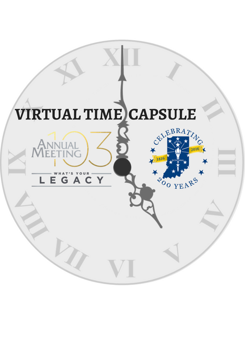 Virtual Capsule.png